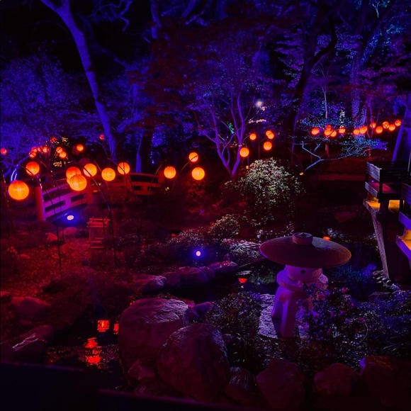 Meet your Posher, Victoria or tori :) <3 - Picture 6 of 14